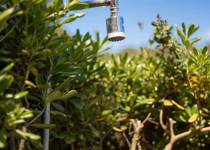 Tu Casa A Norsi * Casa Buraccio