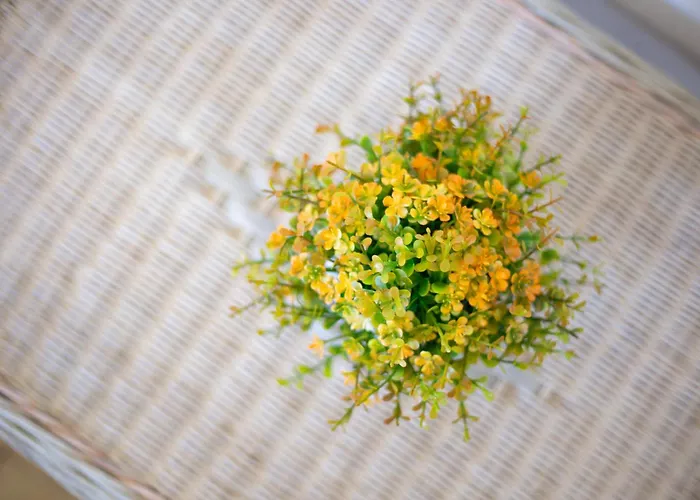 Apartmán Tu Casa A Norsi